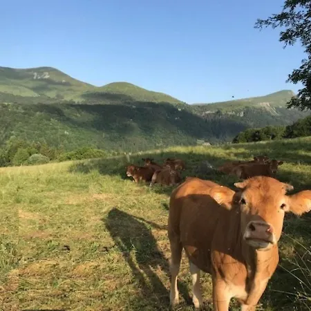 Beau Duplex T3 Au Mont-dore Avec Parking, Pres Des Thermes - Fr-1-608-151 * Ле-Мон-Дор