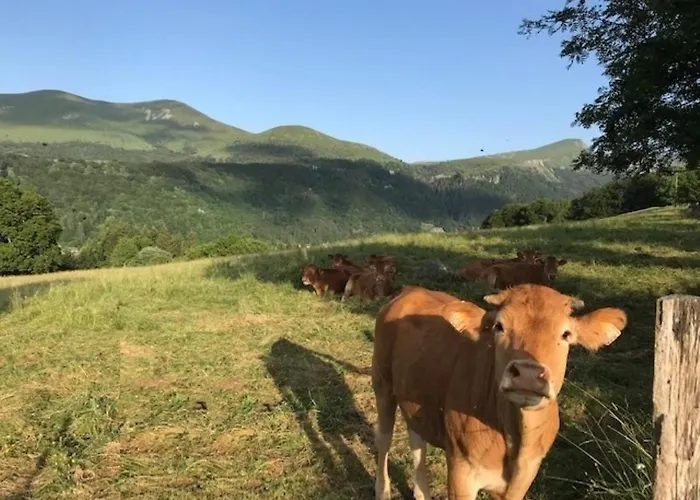 Beau Duplex T3 Au Mont-dore Avec Parking, Pres Des Thermes - Fr-1-608-151 * Ле-Мон-Дор