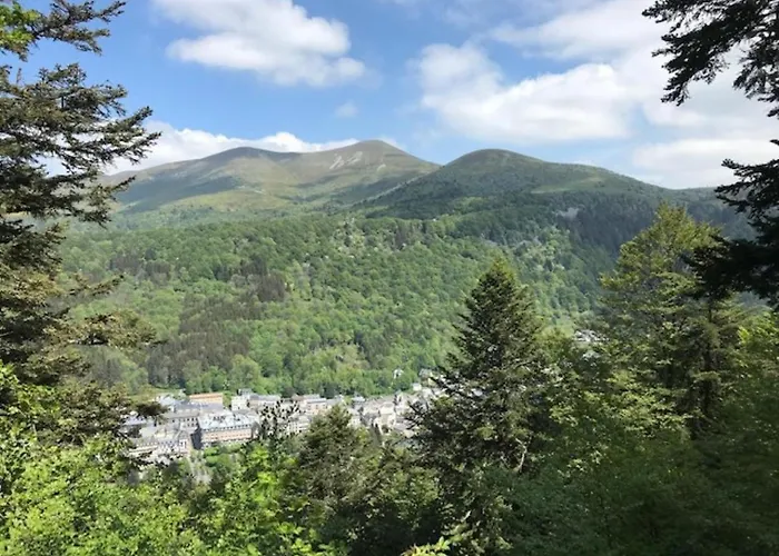 Beau Duplex T3 Au Mont-dore Avec Parking, Pres Des Thermes - Fr-1-608-151 * Ле-Мон-Дор